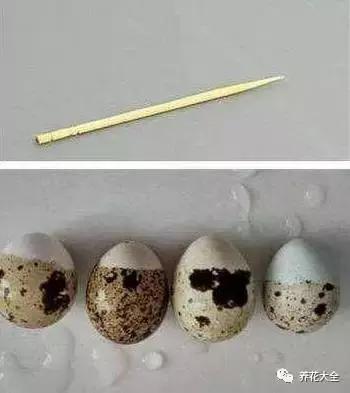蛋花儿为什么打不开？