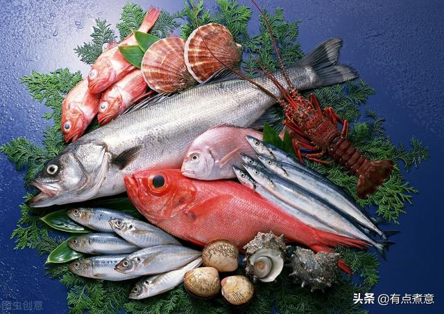 耗儿鱼是什么鱼？