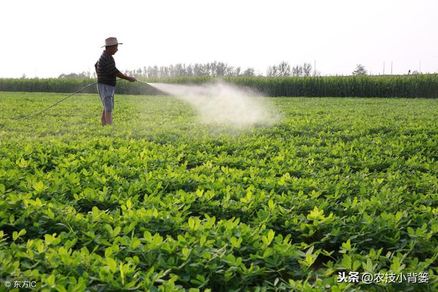 丁脂是什么，除草剂防治农田杂草的使用方法