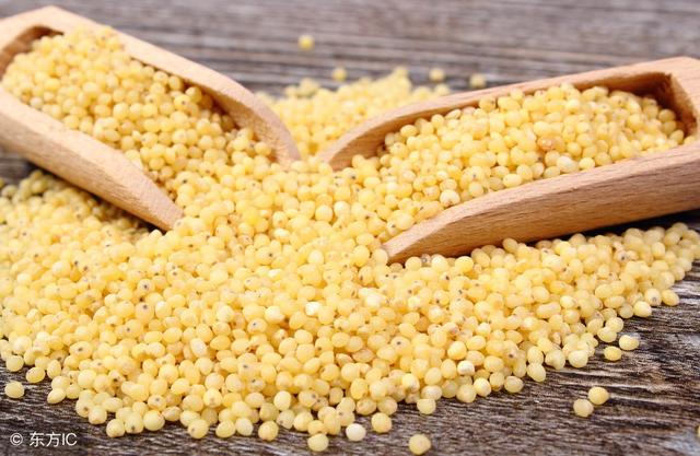 大黄米和小黄米有什么区别，黄小米与小米有什么区别
