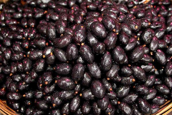 黑加仑有什么功能，什么水果虽然黑但是美