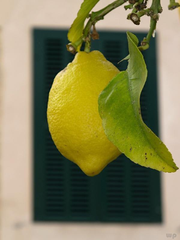 柠檬皮有什么功效与作用，柠檬皮有什么作用