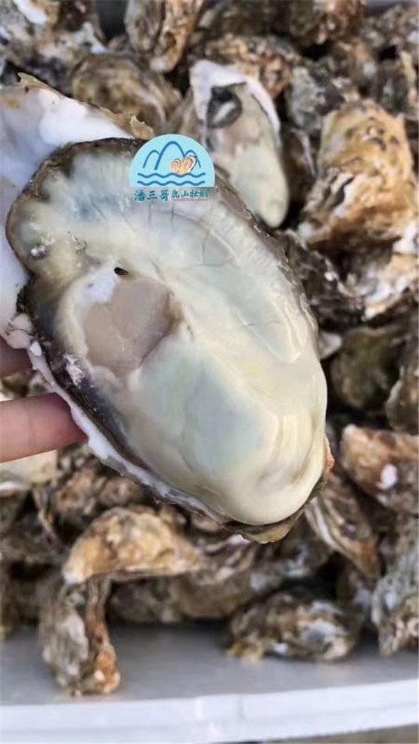 牡蛎什么味道，吃海蛎子的季节
