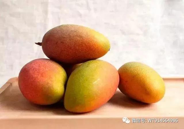 什么芒果最好吃，最好的芒果品种