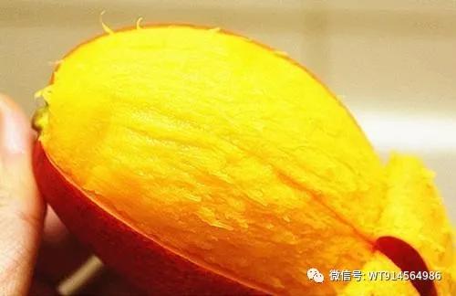 什么芒果最好吃，最好的芒果品种