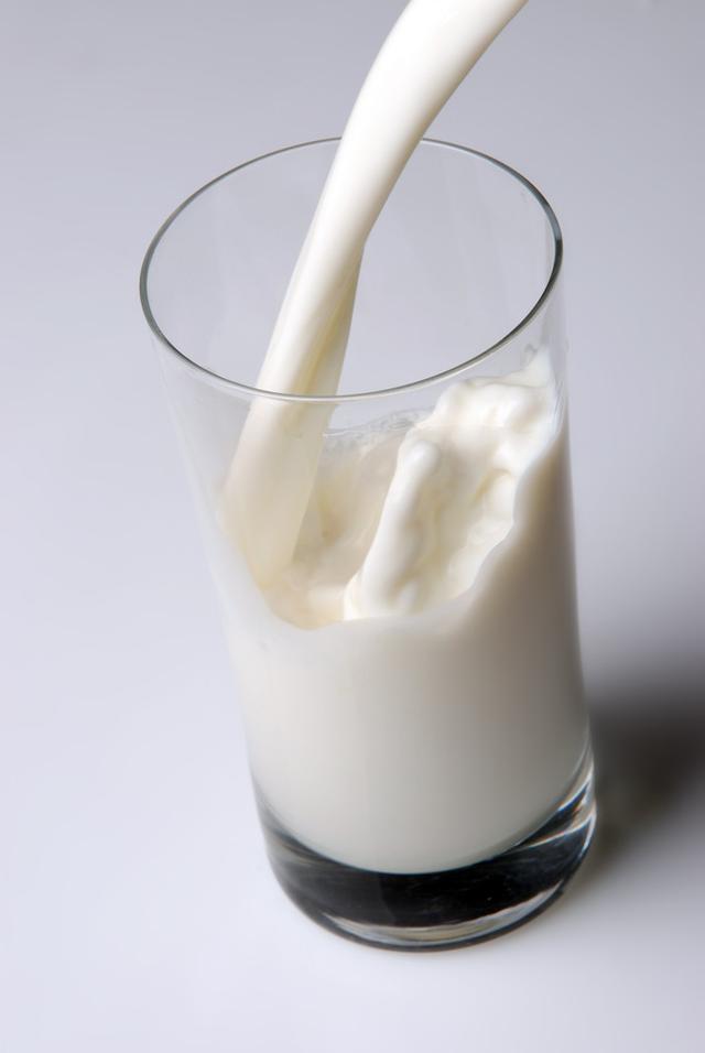 炼奶不可以和什么吃，拉布拉多喂水有限制吗