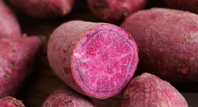 紫薯须注意些什么，紫薯的高产种植技术