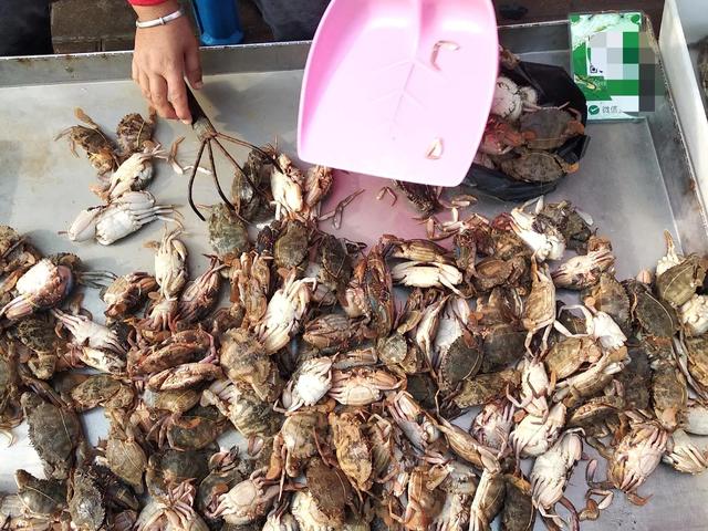 海螃蟹什么季节最好吃，海蟹哪个季节最好吃