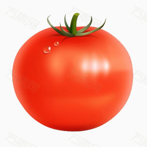 番茄是什么季节的，关于西红柿的知识